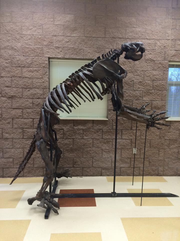 walking with dinosaurs exhibit